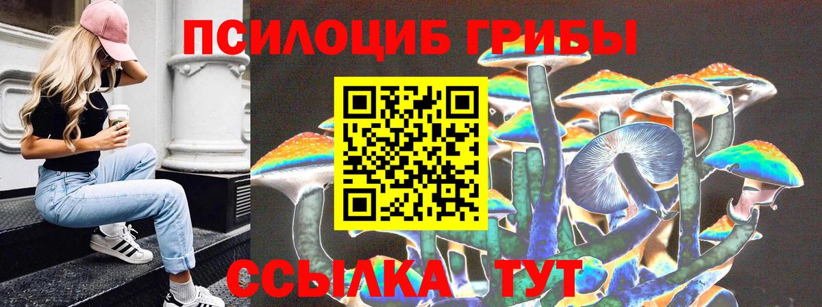 Лениногорск  Псилоцибиновые грибы Magic Shrooms  Вход с VPN 