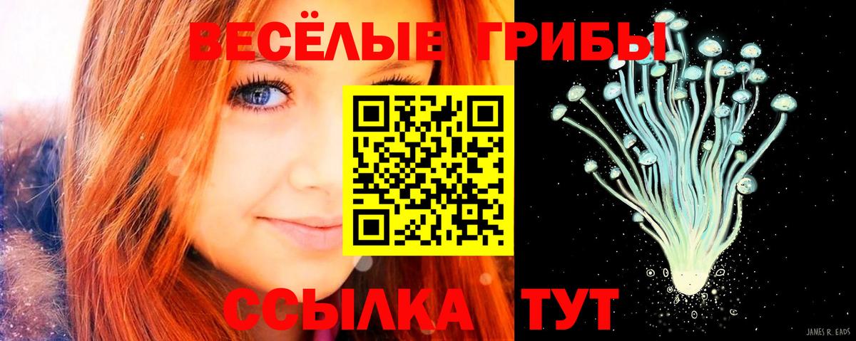 Псилоцибиновые грибы мухоморы Лениногорск